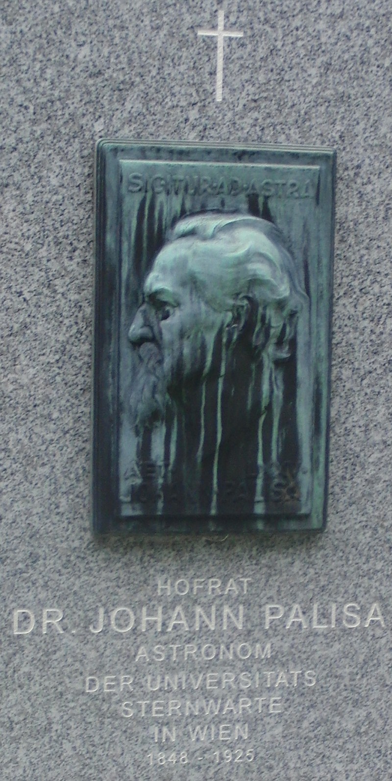 Palisa