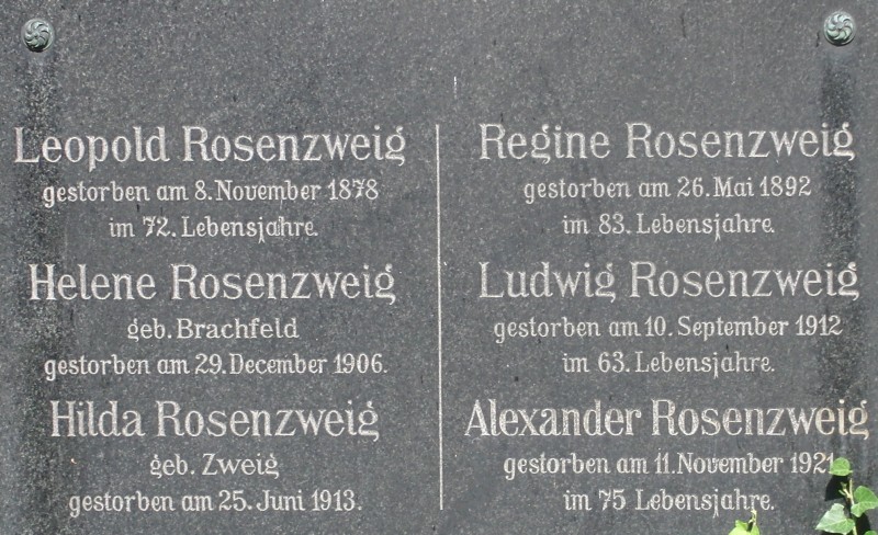 Rosenzweig; Brachfeld; Zweig