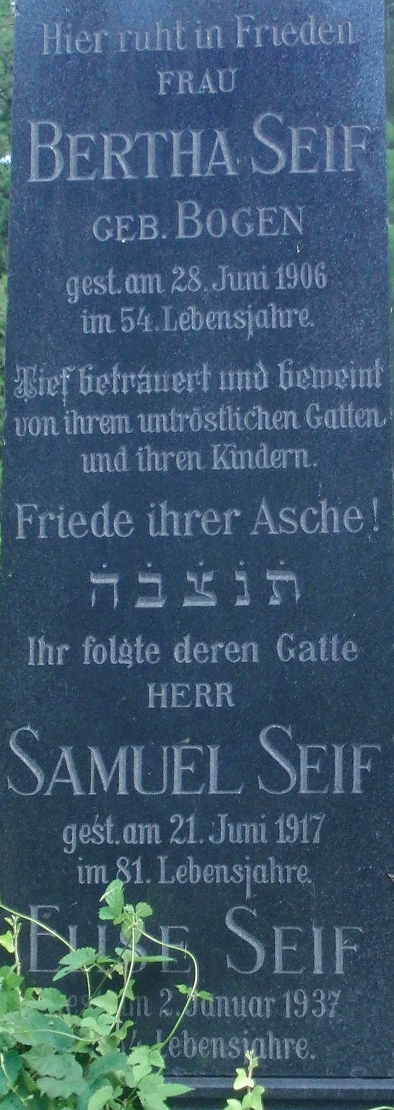 Seif; Seif geb. Bogen