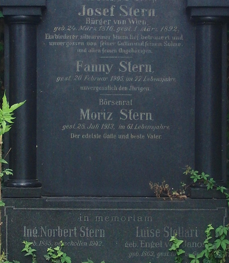 Stern; Stellari geb. Engel von Janos