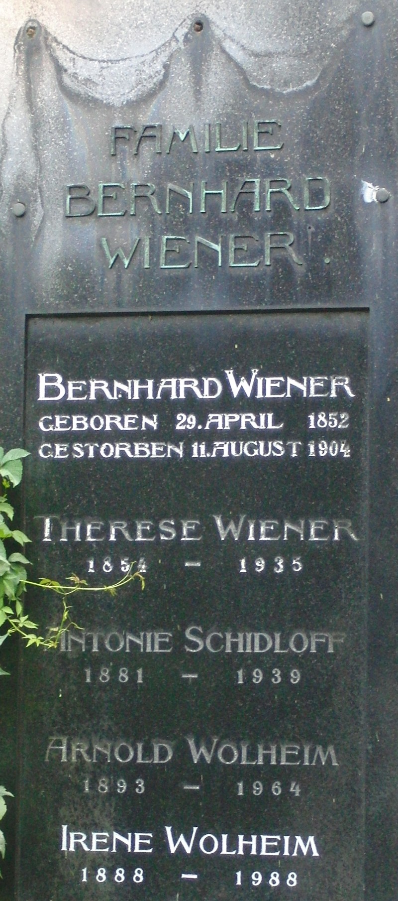 Wiener; Schidloff; Wolheim