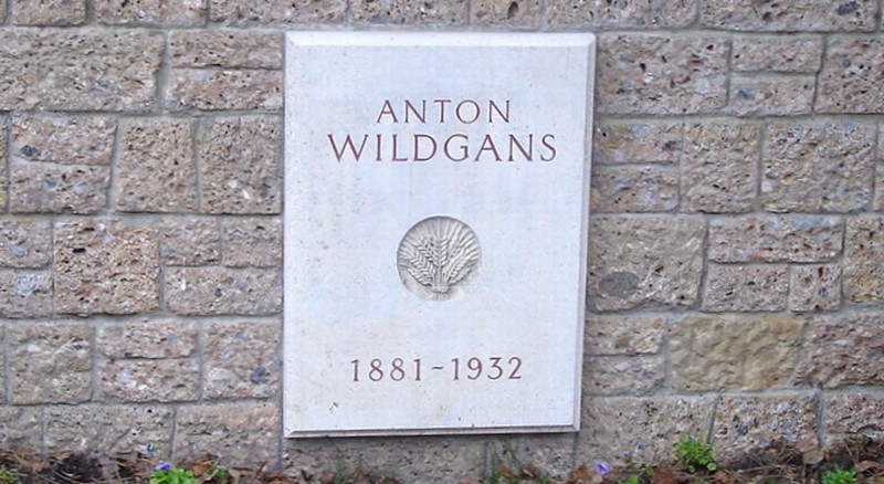 Wildgans