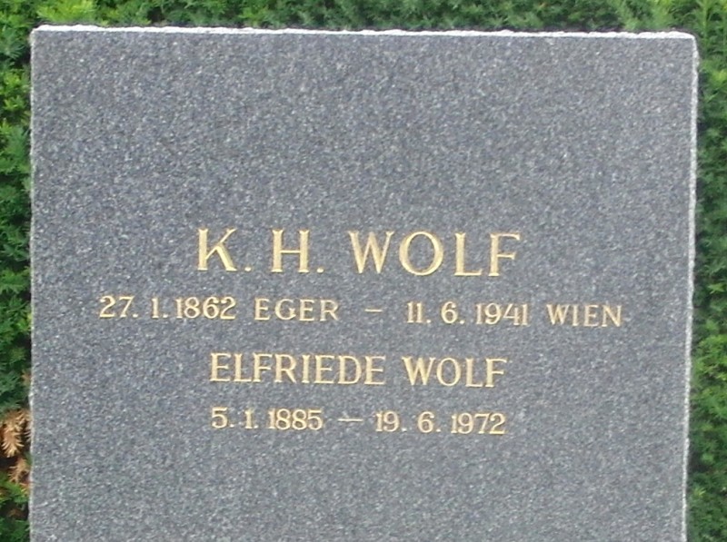 Wolf