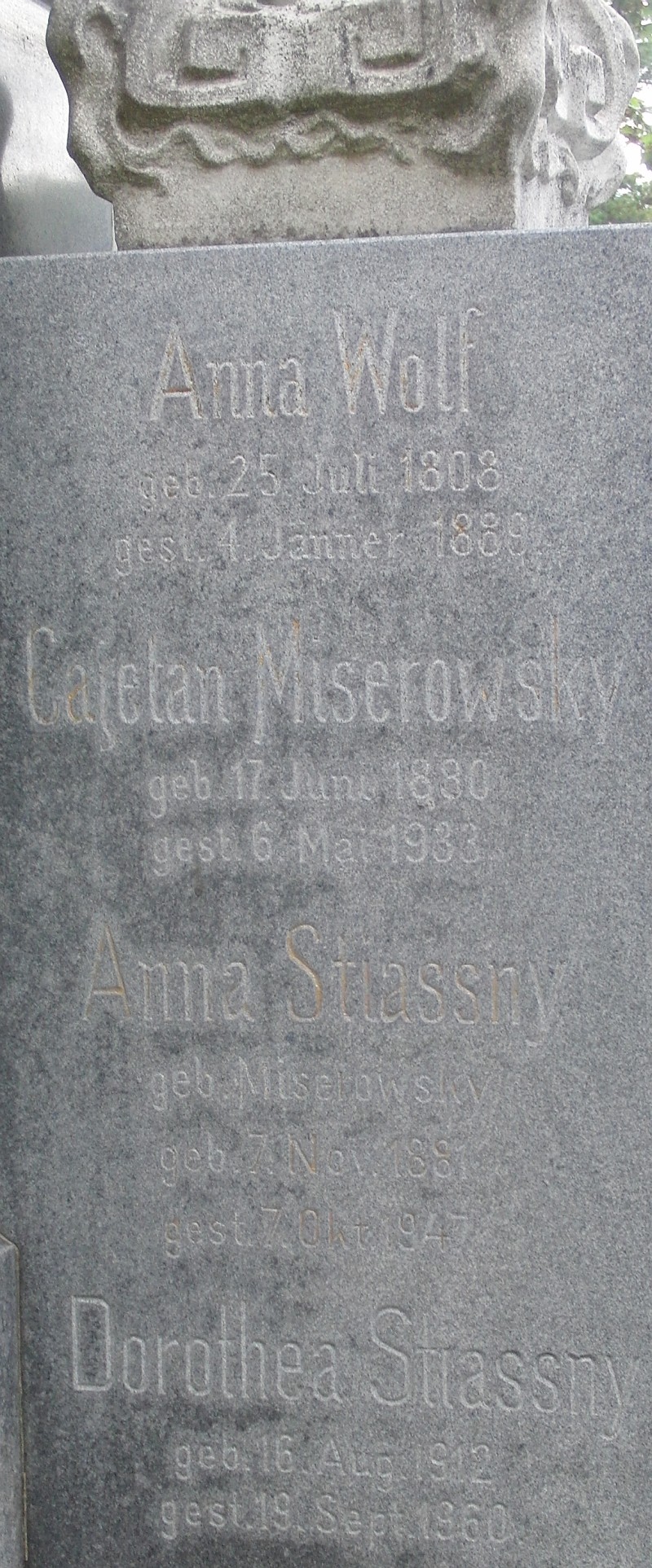 Wolf; Stiassny geb. Miserowsky; Miserowsky; Stiassny