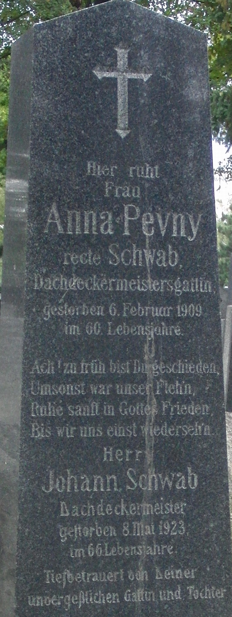 Schwab; Pevny recte Schwab