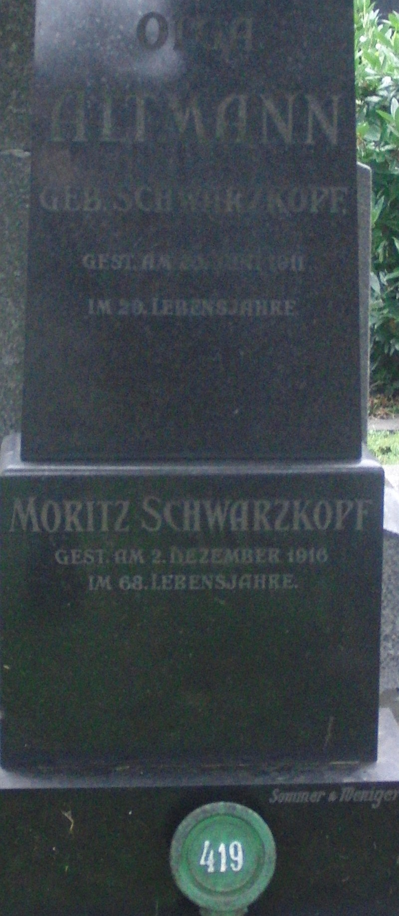 Schwarzkopf; Altmann