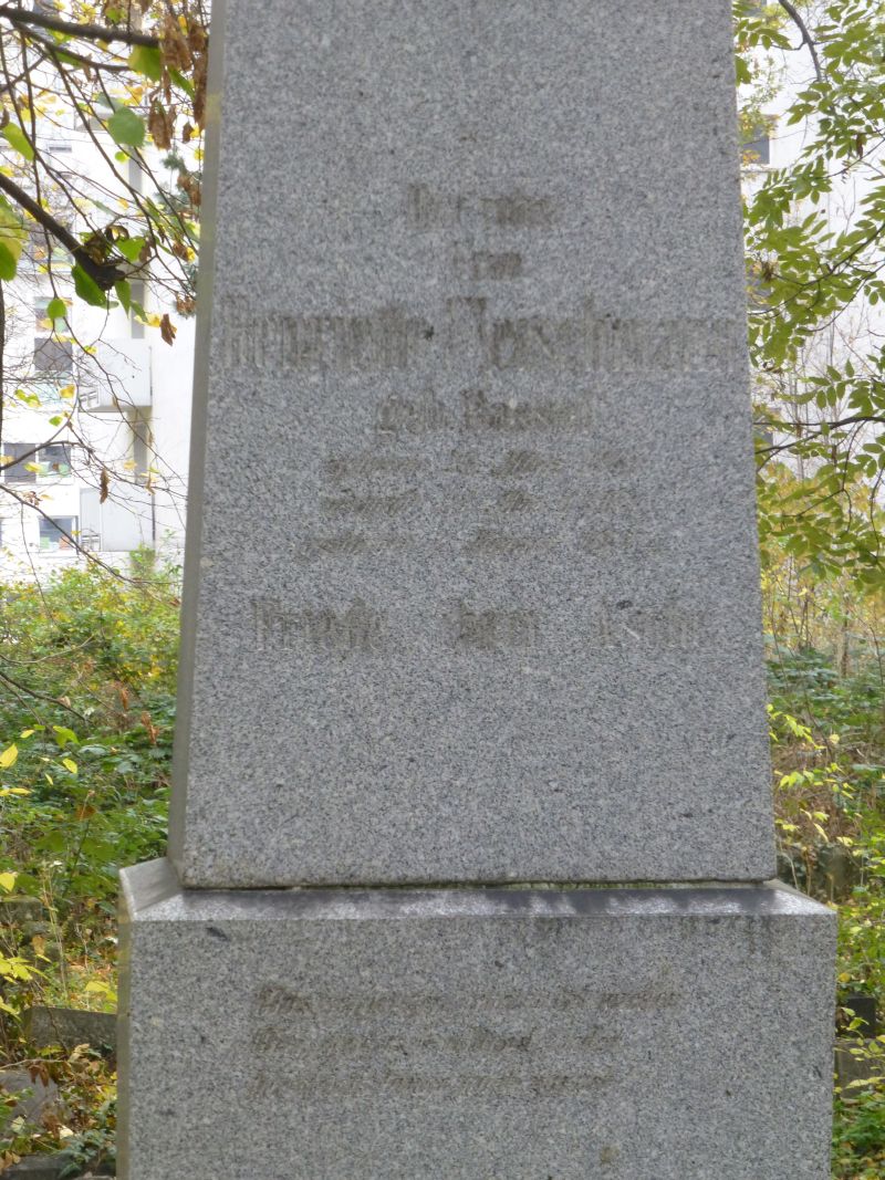 Fleischmann
