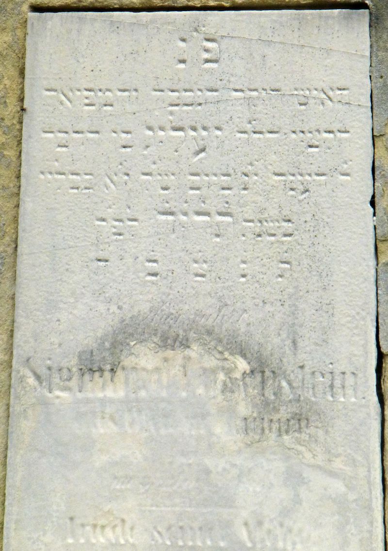 Eckstein?, Kronstein?, Löbenstein?, Wertheimstein?