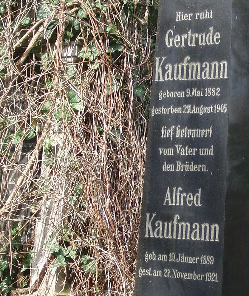 Kaufmann