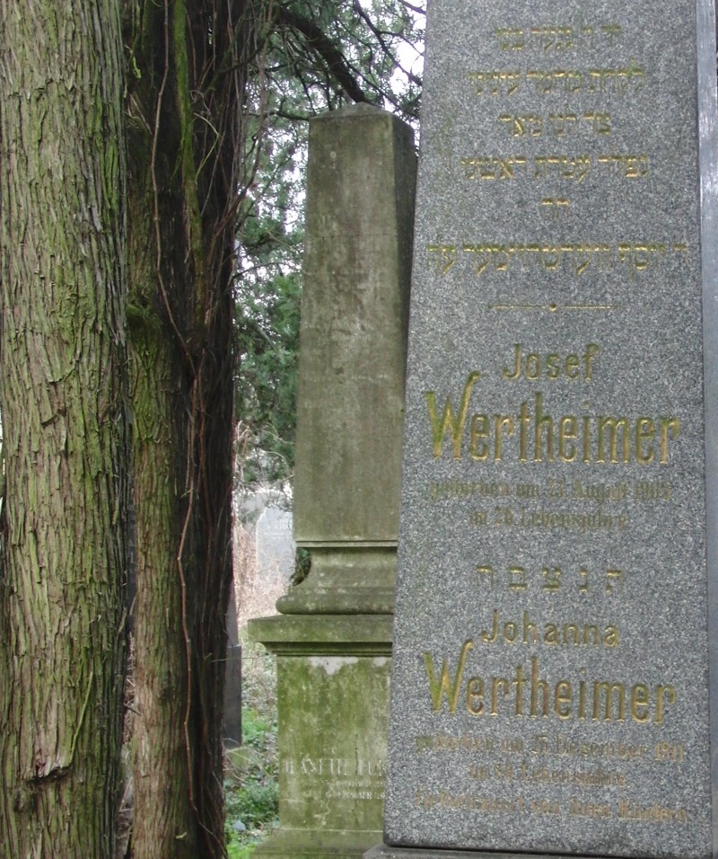 Wertheimer