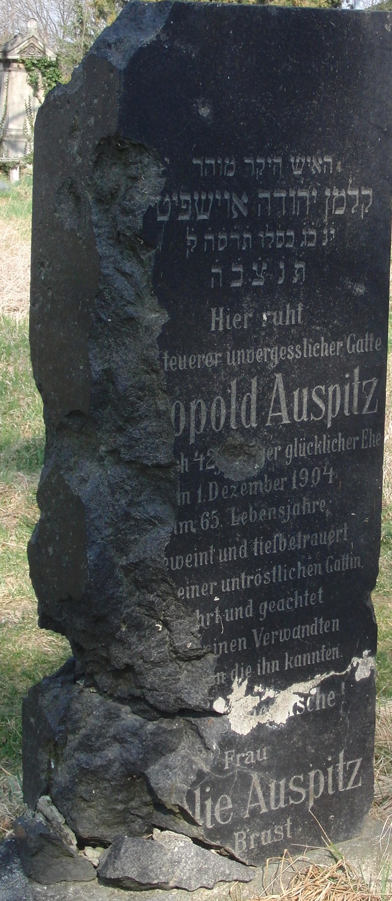 Auspitz