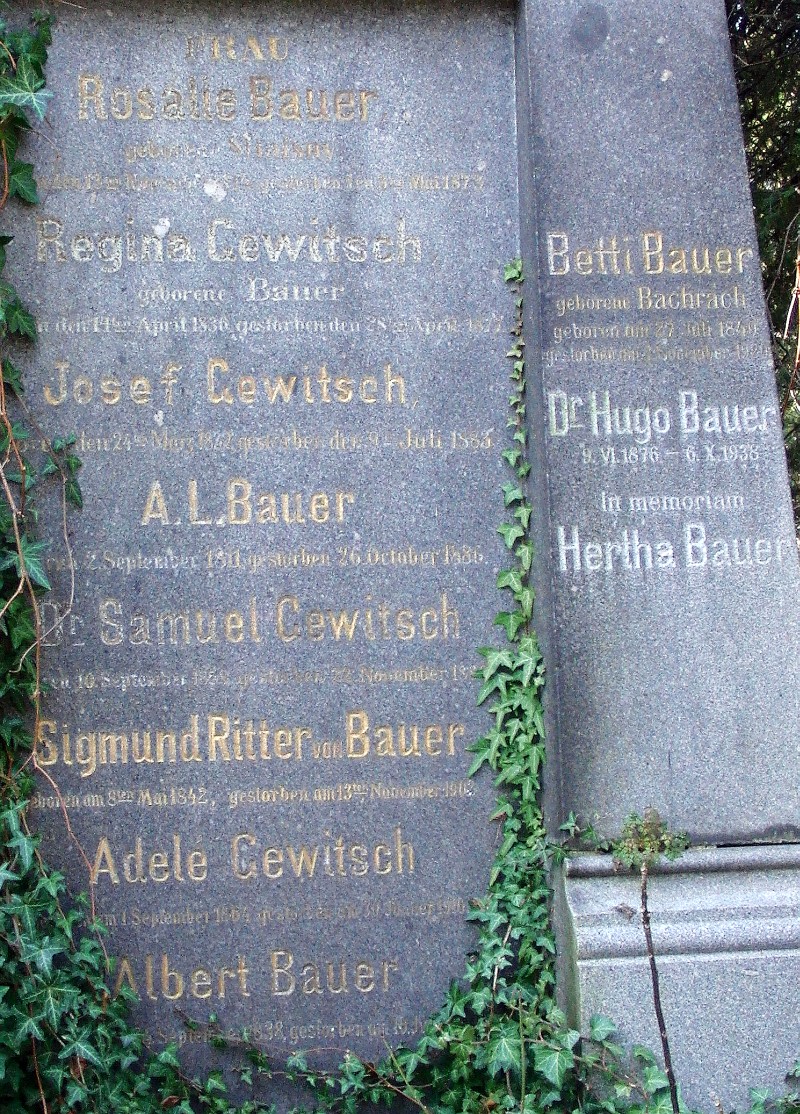 Bauer; von Bauer; Gewitsch