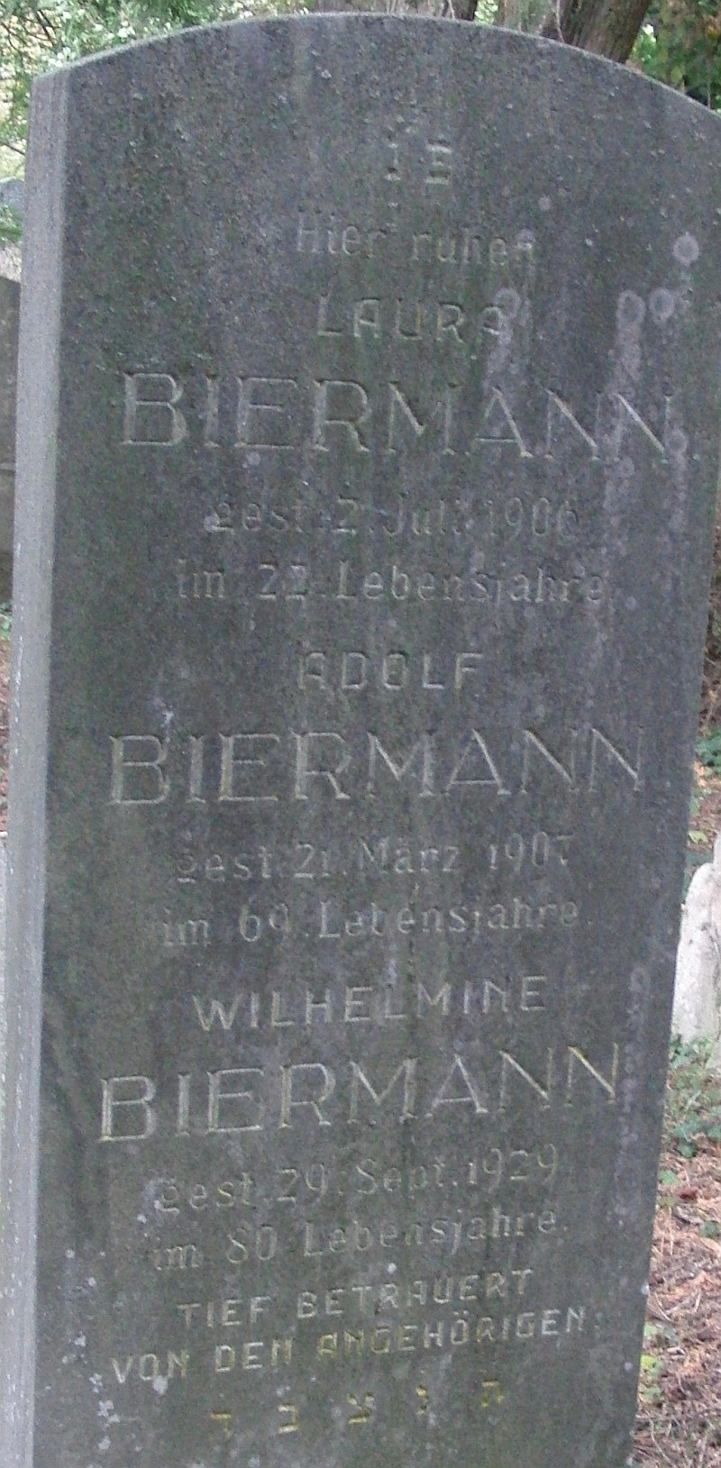 Biermann