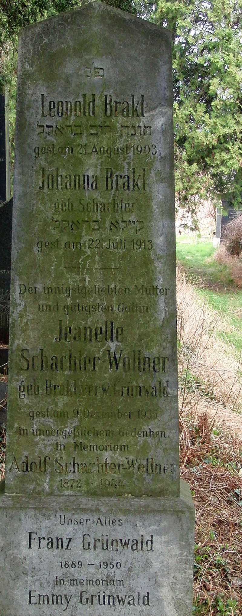 Brakl; Brakl geb. Schachter; Grünwald; Schachter-Wollner geb. Brakl