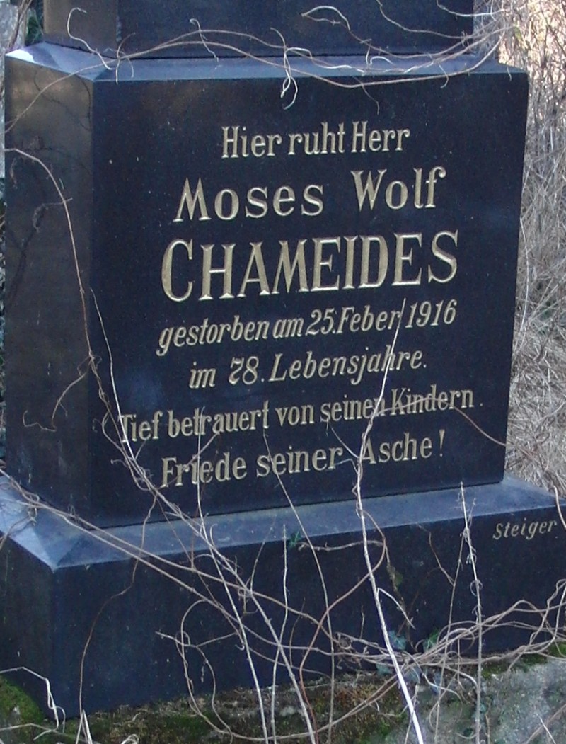 Chameides