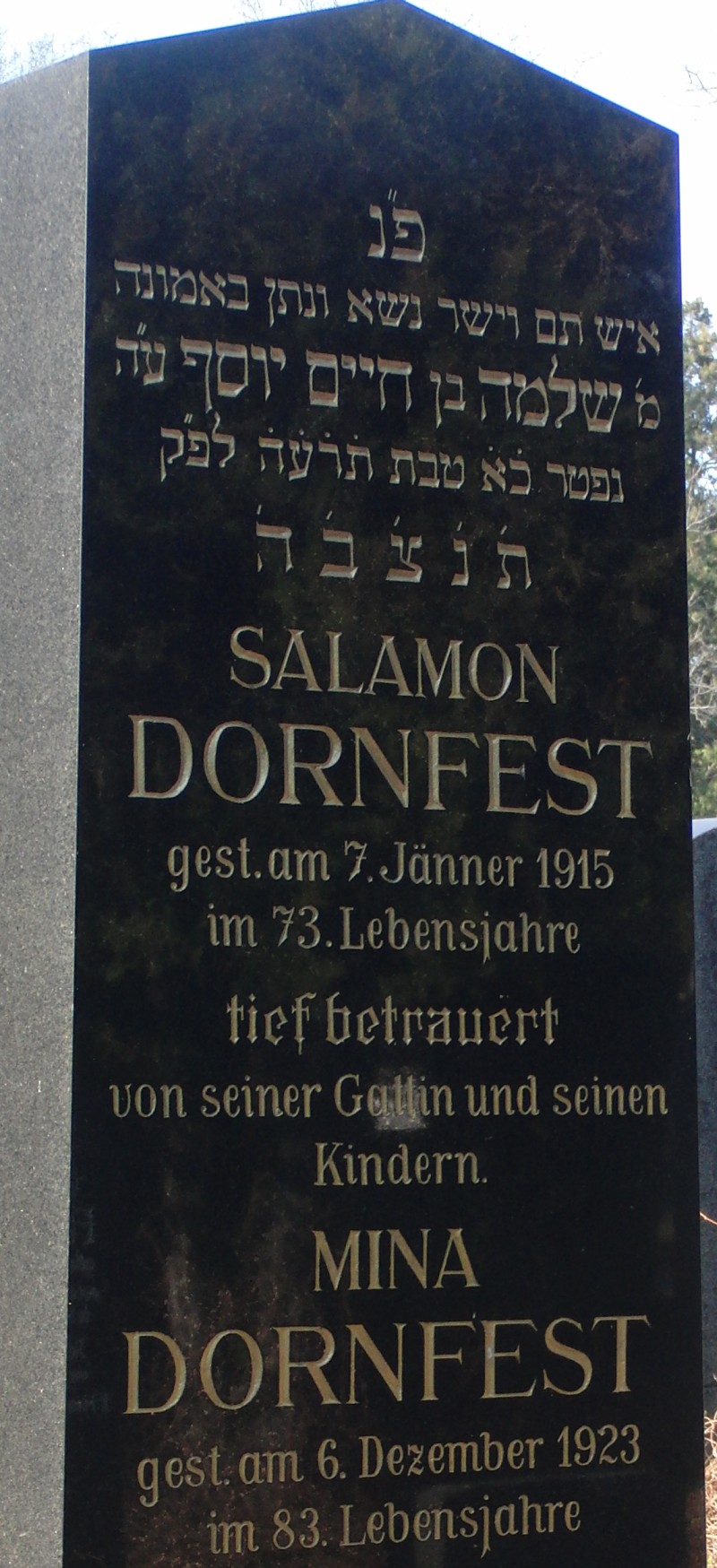 Dornfest
