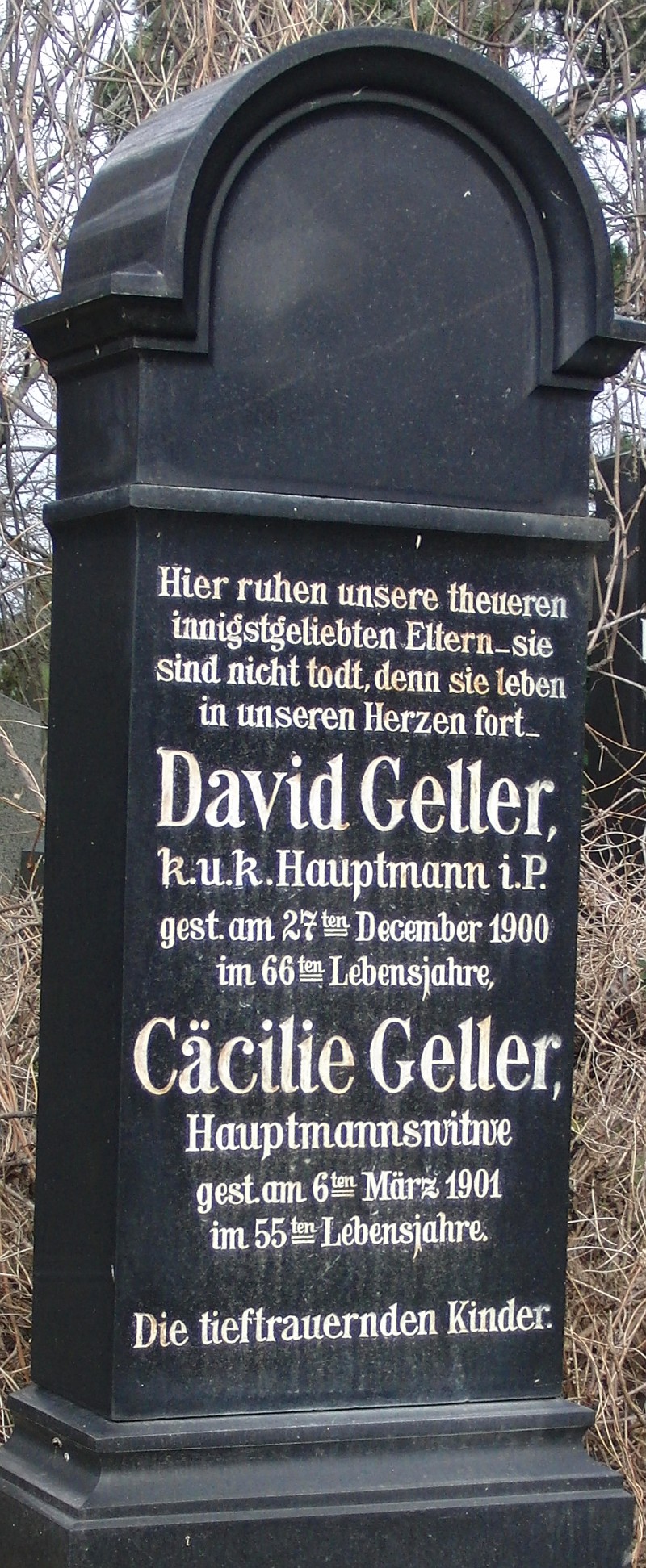 Geller