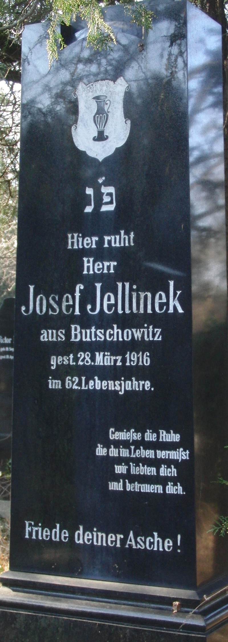 Jellinek