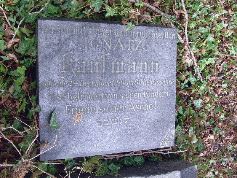 Kaufmann