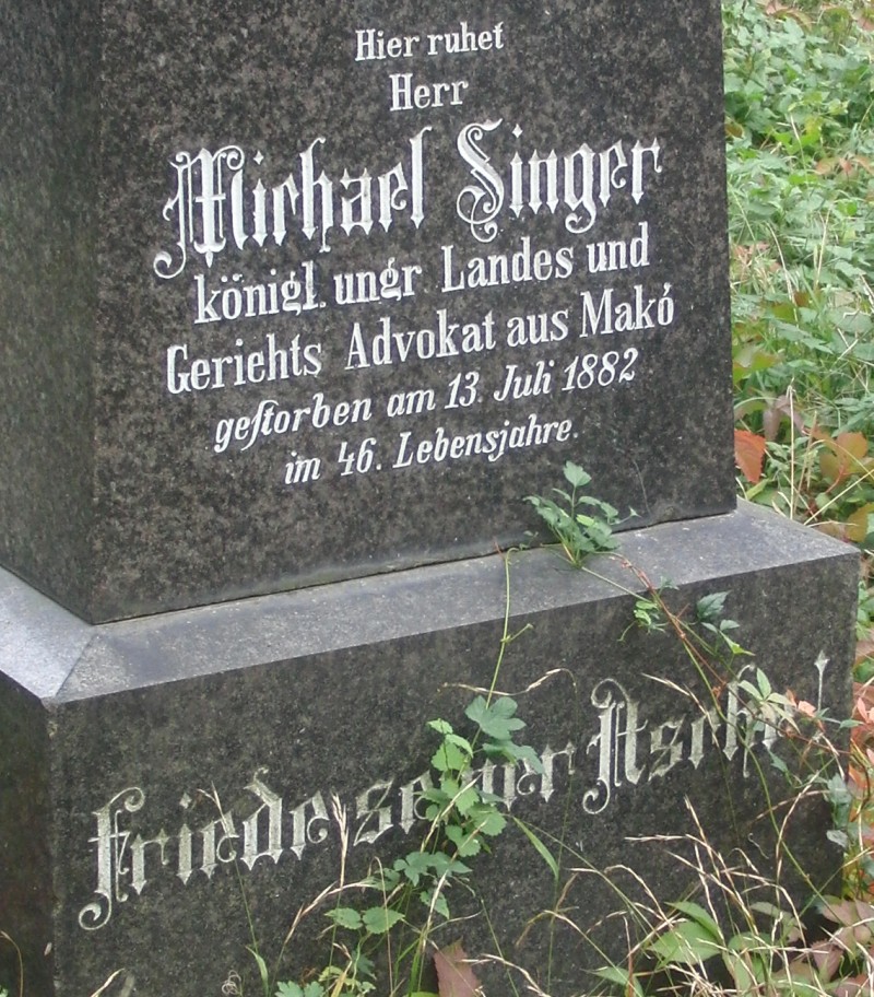 Singer