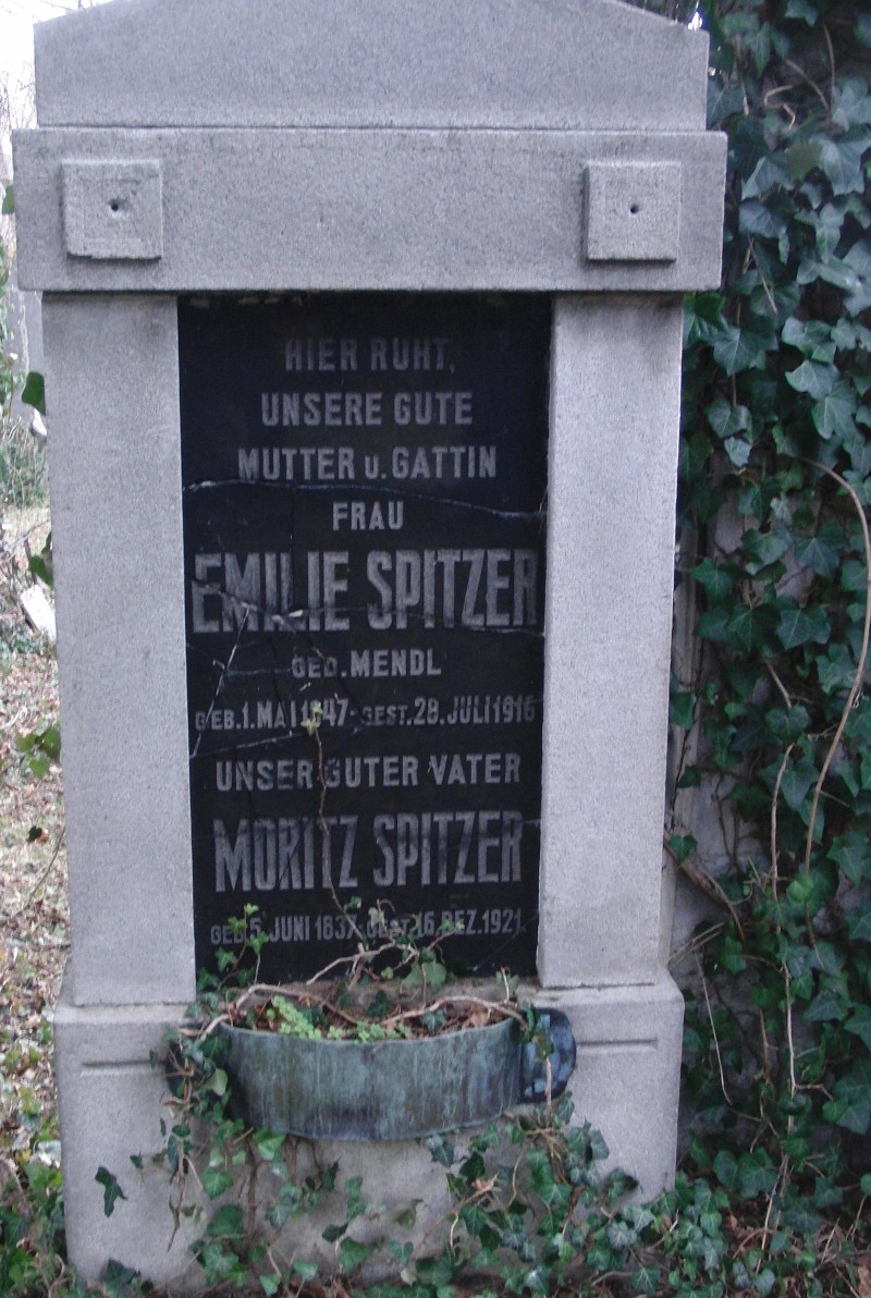 Spitzer; Spitzer; Mendel