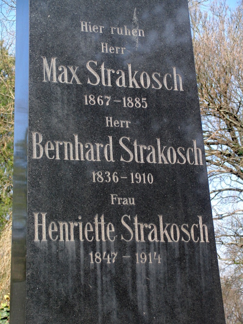 Strakosch