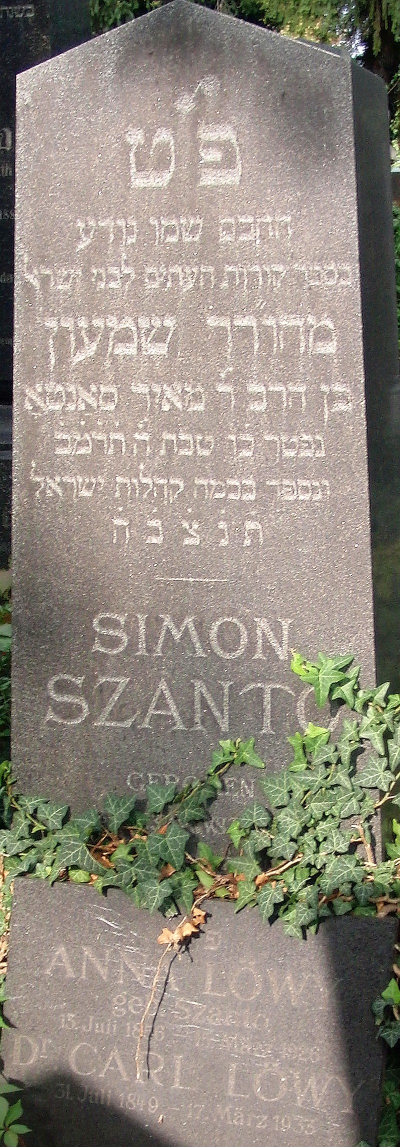 Szanto; Löwy