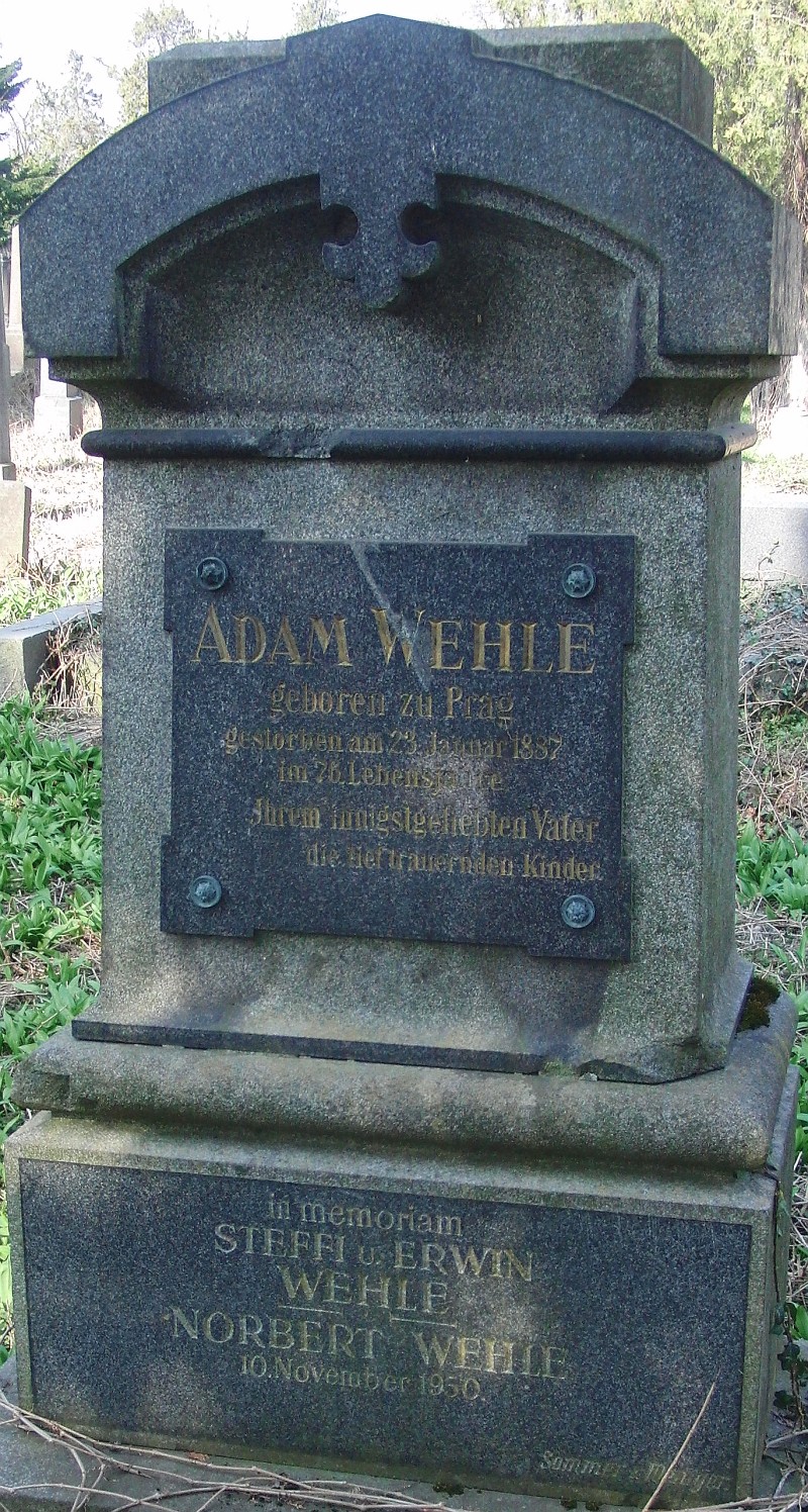 Wehle
