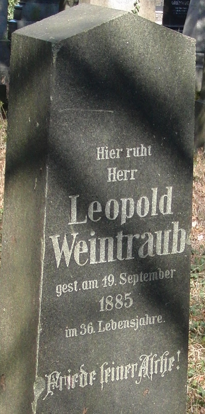 Weintraub