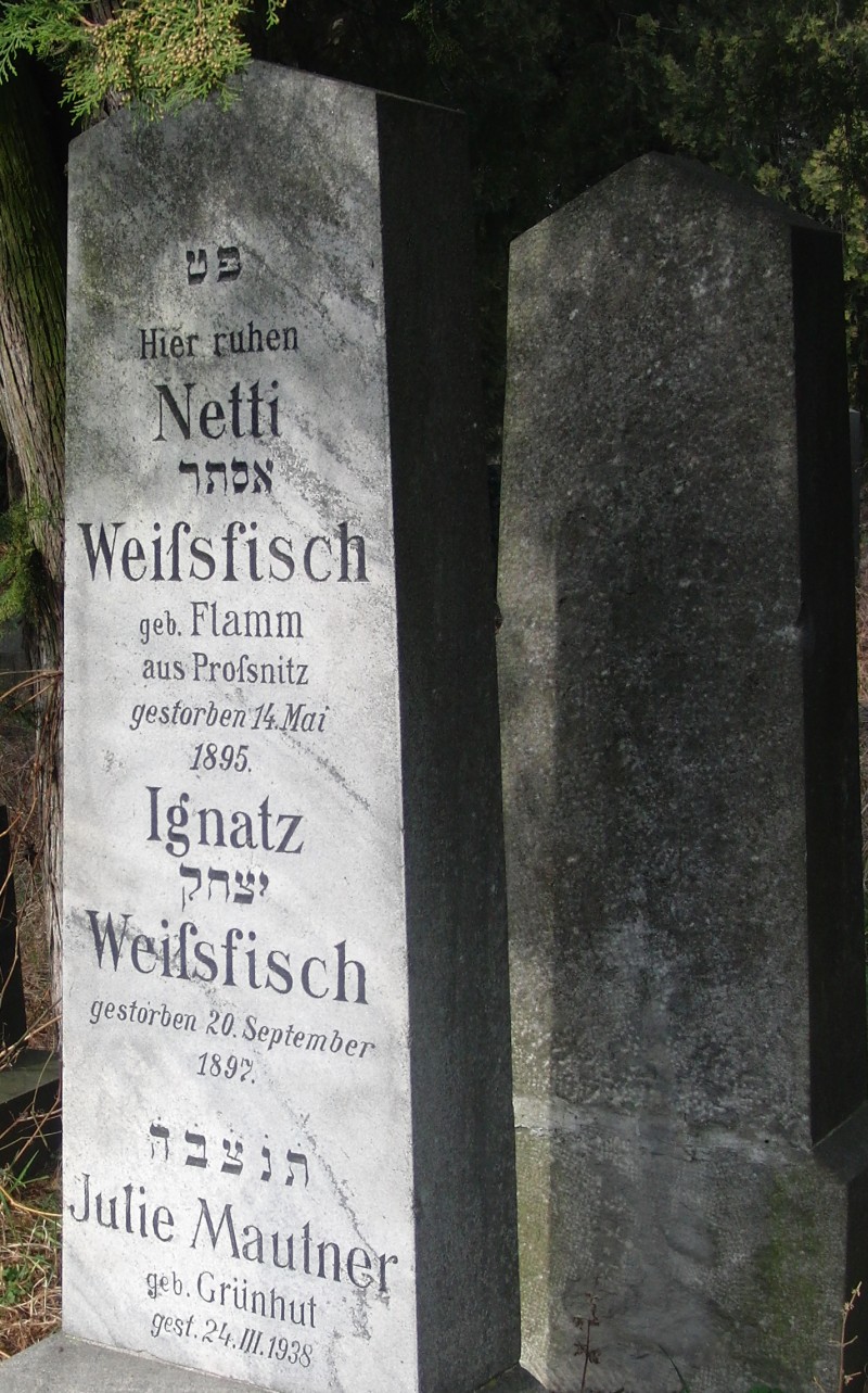Weissfisch; Weissfisch geb. Flamm; Mautner geb. Grünhut