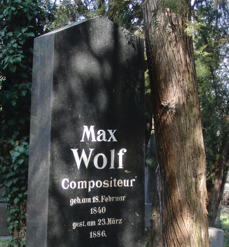 Wolf