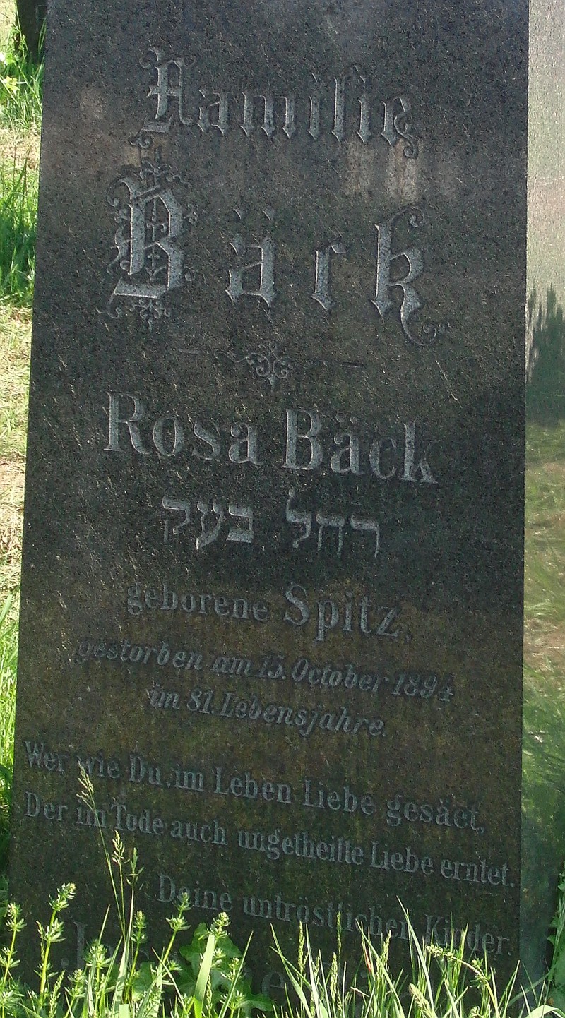Bäck geb. Spitz