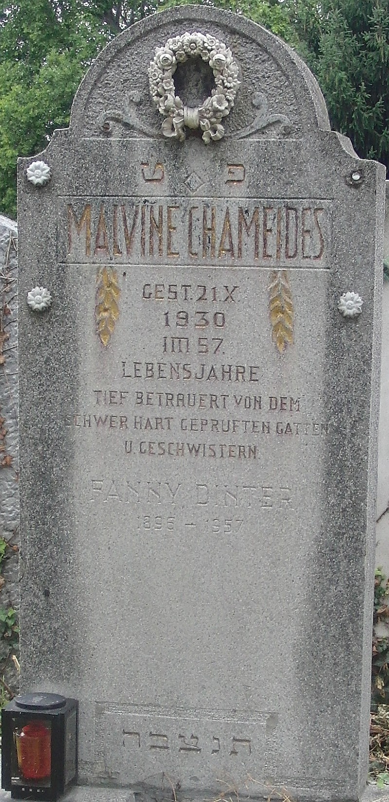 Chameides; Dinter