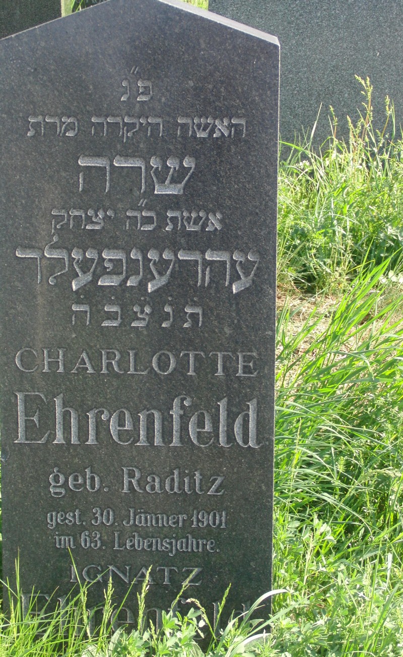 Ehrenfeld; Ehrenfeld geb. Raditz