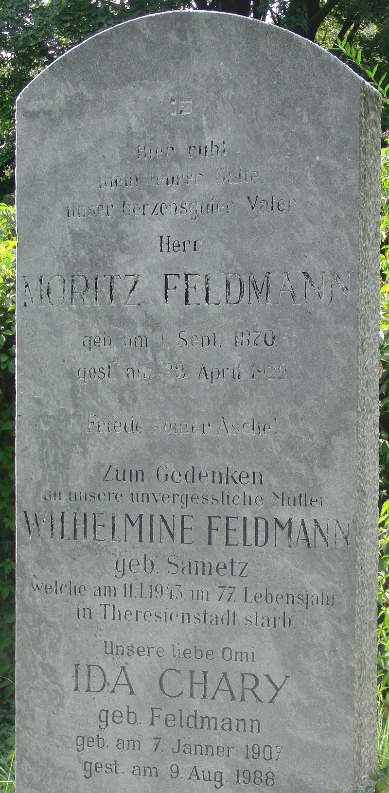 Feldmann; Feldmann geb. Sametz; Chary geb. Feldmann