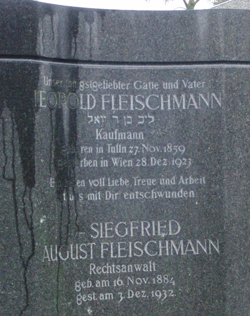 Fleischmann