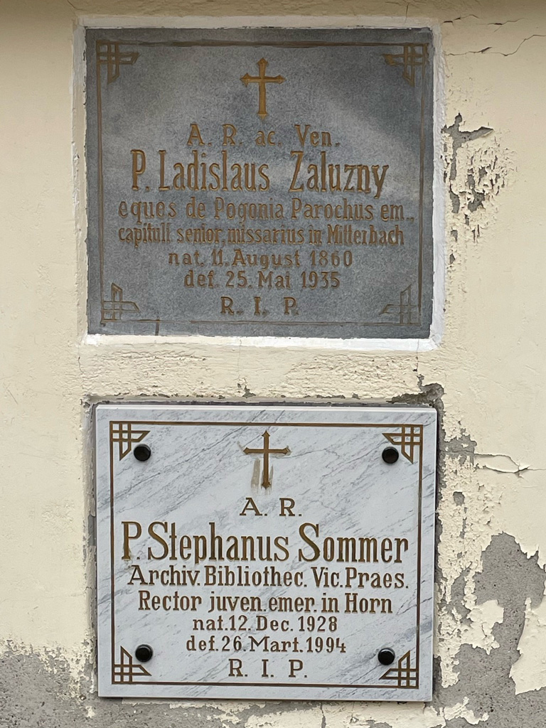 Zaluzny; Sommer