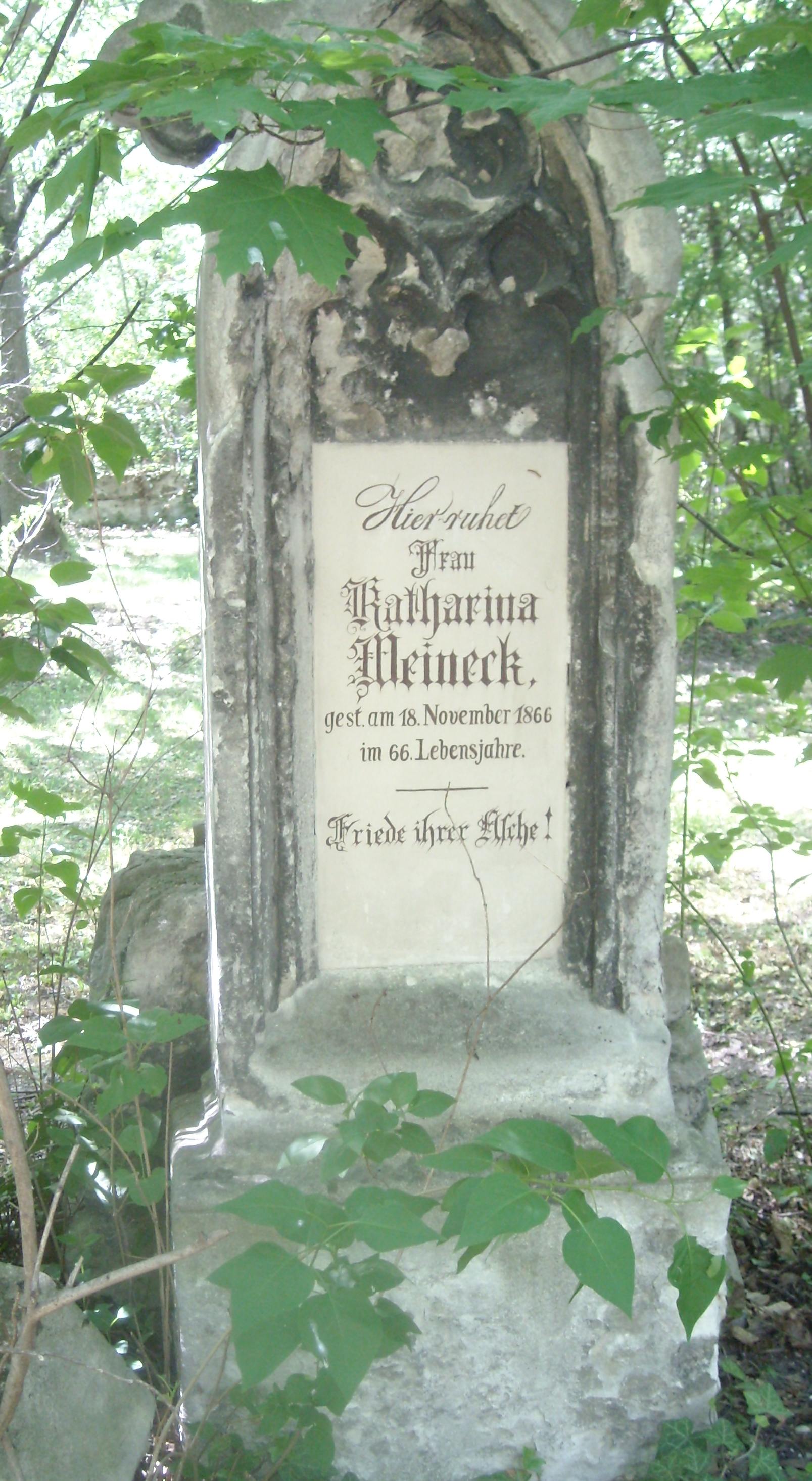 Weineck Katharina