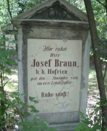 Braun