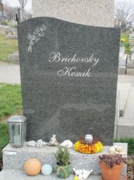 Brichovsky; Koszik