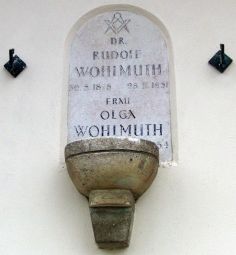 Wohlmut
