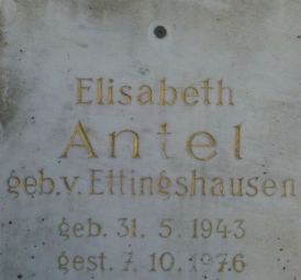 Wasserburger; Gunkel; Ettingshausen; Antel