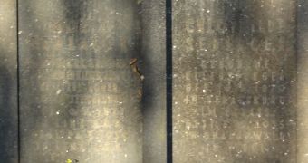 Sedlacek; Sedlacek geb. von Egel