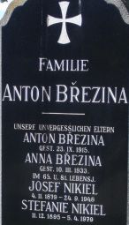 Brezina; Nikiel