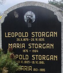 Storgan
