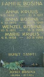 Bosina; Krulis