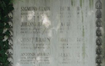 Braun; Altman geb. Braun