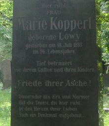 Kropperl