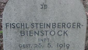 Steinberger-Bienstöck