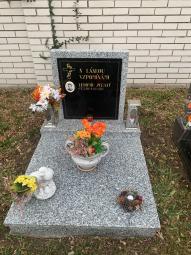 Vzpomínáme; Zubatý